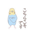 敬語デカ文字！セキセイインコのスタンプ（個別スタンプ：8）