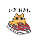 もちゃねこ茶トラ（個別スタンプ：1）