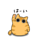 もちゃねこ茶トラ（個別スタンプ：6）