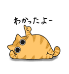 もちゃねこ茶トラ（個別スタンプ：8）