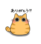 もちゃねこ茶トラ（個別スタンプ：11）