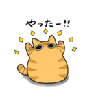 もちゃねこ茶トラ（個別スタンプ：13）