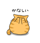 もちゃねこ茶トラ（個別スタンプ：21）