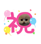 さくらちゃん＆そらくん（個別スタンプ：2）