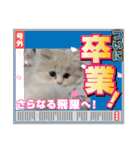さくらちゃん＆そらくん（個別スタンプ：4）