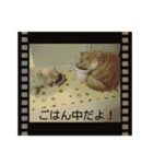 さくらちゃん＆そらくん（個別スタンプ：8）