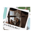 さくらちゃん＆そらくん（個別スタンプ：9）