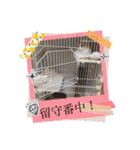 さくらちゃん＆そらくん（個別スタンプ：11）