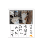 さくらちゃん＆そらくん（個別スタンプ：14）
