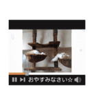 さくらちゃん＆そらくん（個別スタンプ：23）