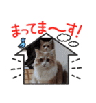さくらちゃん＆そらくん（個別スタンプ：27）