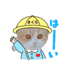 さくらちゃん＆そらくん（個別スタンプ：29）