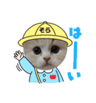 さくらちゃん＆そらくん（個別スタンプ：30）