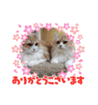 さくらちゃん＆そらくん（個別スタンプ：31）