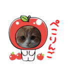 さくらちゃん＆そらくん（個別スタンプ：34）