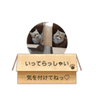 さくらちゃん＆そらくん（個別スタンプ：35）