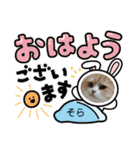 さくらちゃん＆そらくん（個別スタンプ：39）