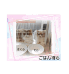 さくらちゃん＆そらくん（個別スタンプ：40）