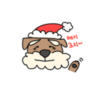 シュナのかぼちゃん「クリスマス」（個別スタンプ：1）