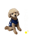 PKM☆（個別スタンプ：3）