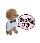 PKM☆（個別スタンプ：6）