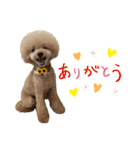 PKM☆（個別スタンプ：7）
