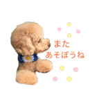 PKM☆（個別スタンプ：16）