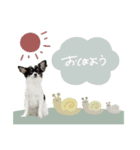 ♡こたろう＆ぷに2（個別スタンプ：3）