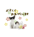 ♡こたろう＆ぷに2（個別スタンプ：4）