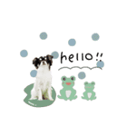 ♡こたろう＆ぷに2（個別スタンプ：6）