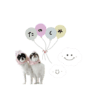 ♡こたろう＆ぷに2（個別スタンプ：8）