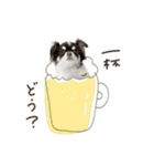 ♡こたろう＆ぷに2（個別スタンプ：9）