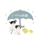 ♡こたろう＆ぷに2（個別スタンプ：11）