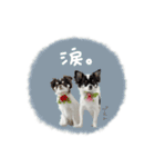 ♡こたろう＆ぷに2（個別スタンプ：12）