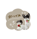 ♡こたろう＆ぷに2（個別スタンプ：13）
