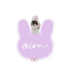 ♡こたろう＆ぷに2（個別スタンプ：14）
