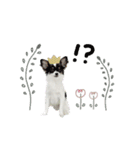 ♡こたろう＆ぷに2（個別スタンプ：15）