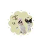 ♡こたろう＆ぷに2（個別スタンプ：16）