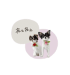 ♡こたろう＆ぷに2（個別スタンプ：18）