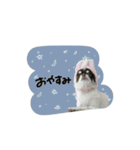 ♡こたろう＆ぷに2（個別スタンプ：21）