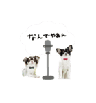 ♡こたろう＆ぷに2（個別スタンプ：23）