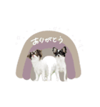 ♡こたろう＆ぷに2（個別スタンプ：24）