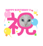 おふざけエリニャンズ（個別スタンプ：4）
