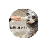 おふざけエリニャンズ（個別スタンプ：9）