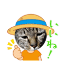 おふざけエリニャンズ（個別スタンプ：13）