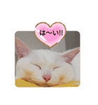 おふざけエリニャンズ（個別スタンプ：15）