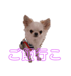 自分R（個別スタンプ：2）