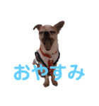 自分R（個別スタンプ：3）