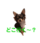 自分R（個別スタンプ：4）