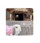 michochii 5（個別スタンプ：1）